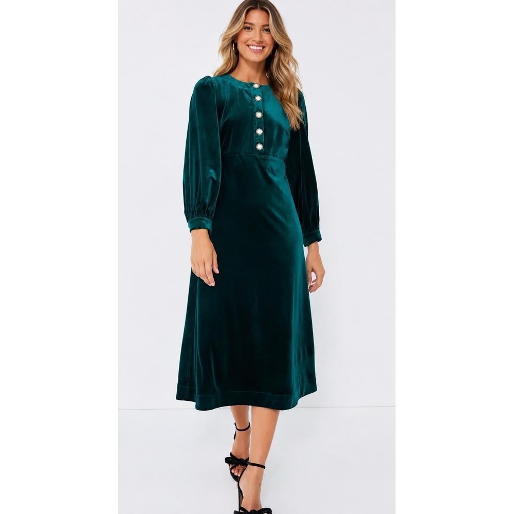 POMANDER Place Women's NWOT Dress Velvet Green LARGE Button Front B1089